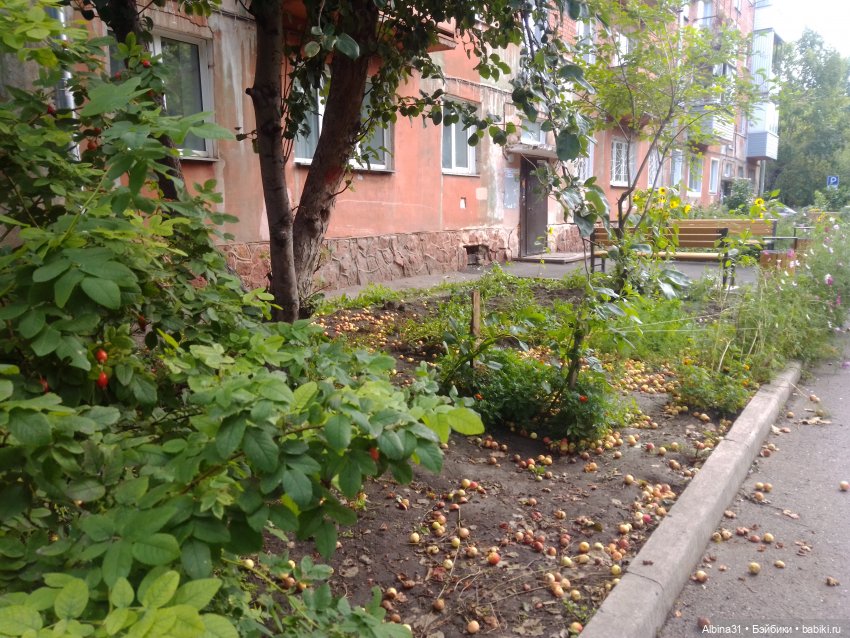 Городские зарисовки или Прогулка по городу (фото 9)