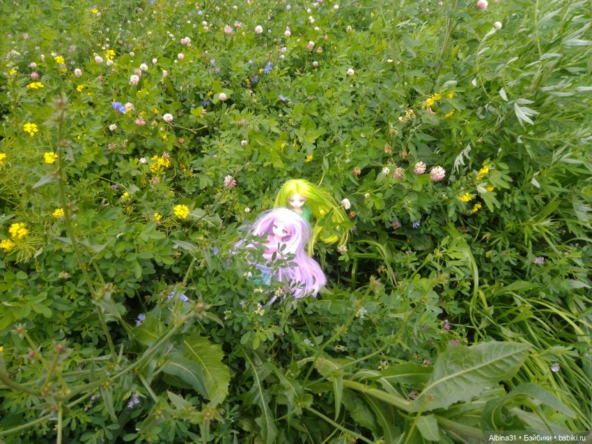 Городские зарисовки или Прогулка по городу