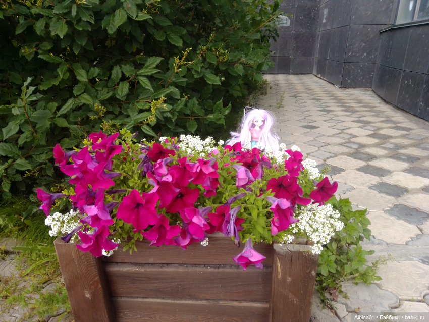 Городские зарисовки или Прогулка по городу