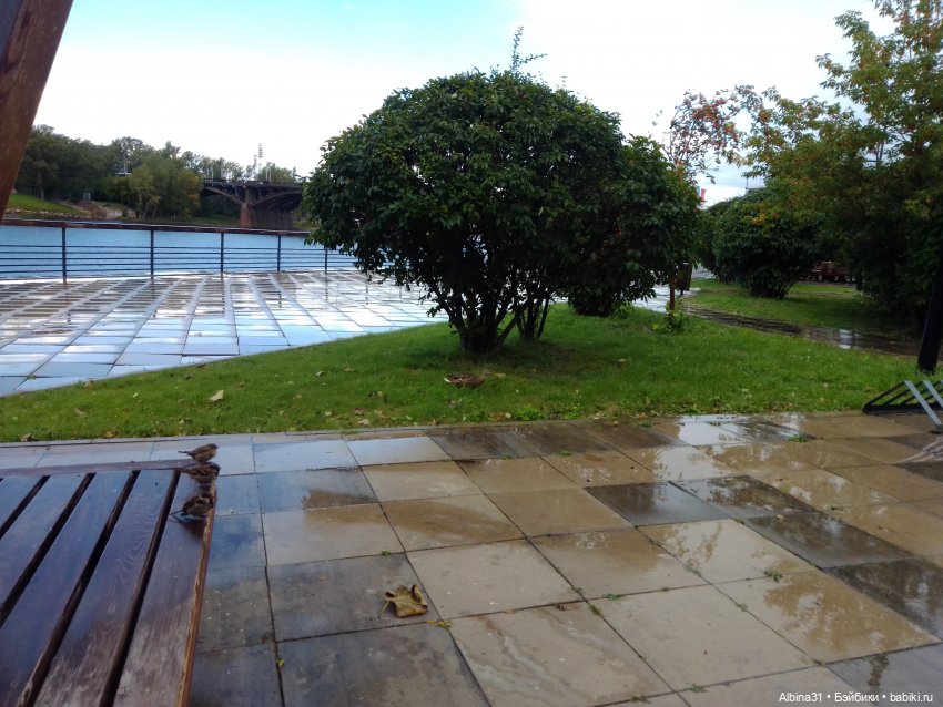 Городские зарисовки... Август, сентябрь 2024 (фото 2)