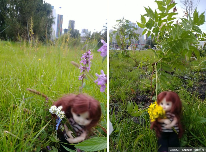 Прогулка по Новосибирску — Куклы Baboliy (Баболи