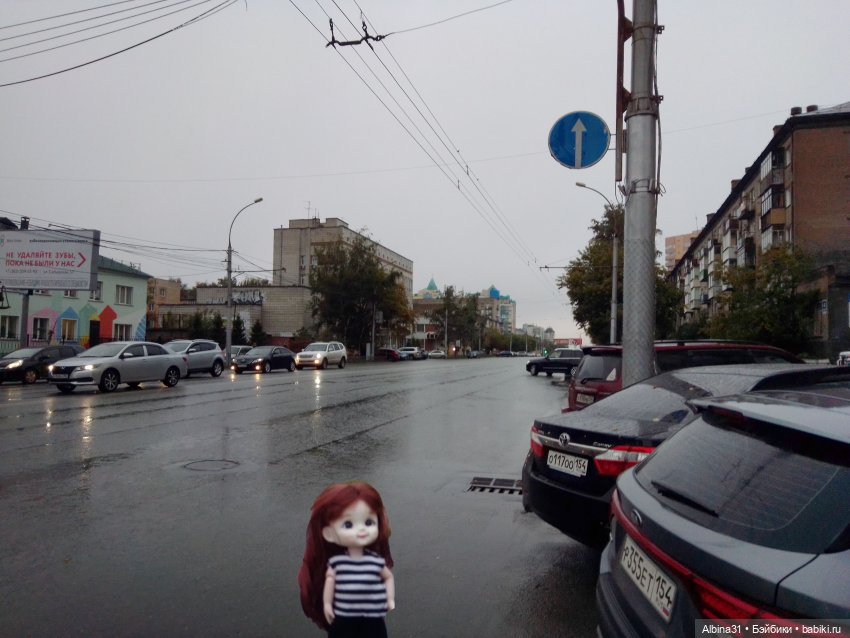Прогулка по Новосибирску — Куклы Baboliy (Баболи