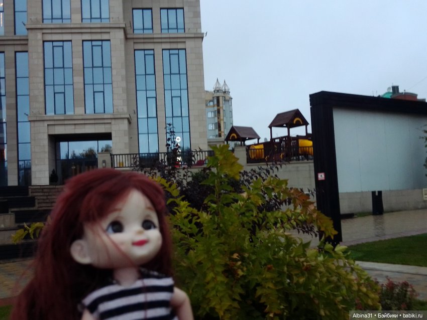 Прогулка по Новосибирску — Куклы Baboliy (Баболи