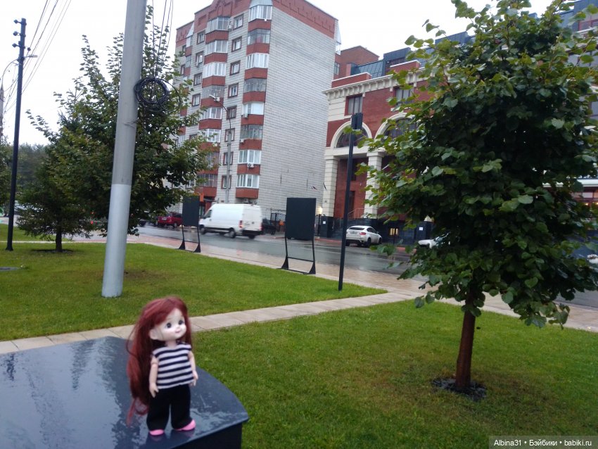 Прогулка по Новосибирску — Куклы Baboliy (Баболи
