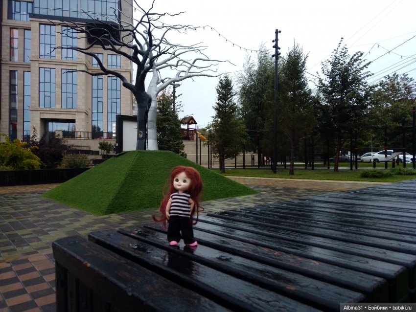 Прогулка по Новосибирску — Куклы Baboliy (Баболи