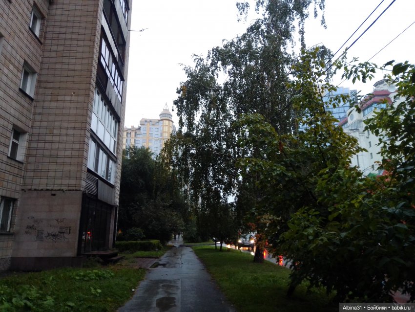 Прогулка по Новосибирску — Куклы Baboliy (Баболи (фото 6)