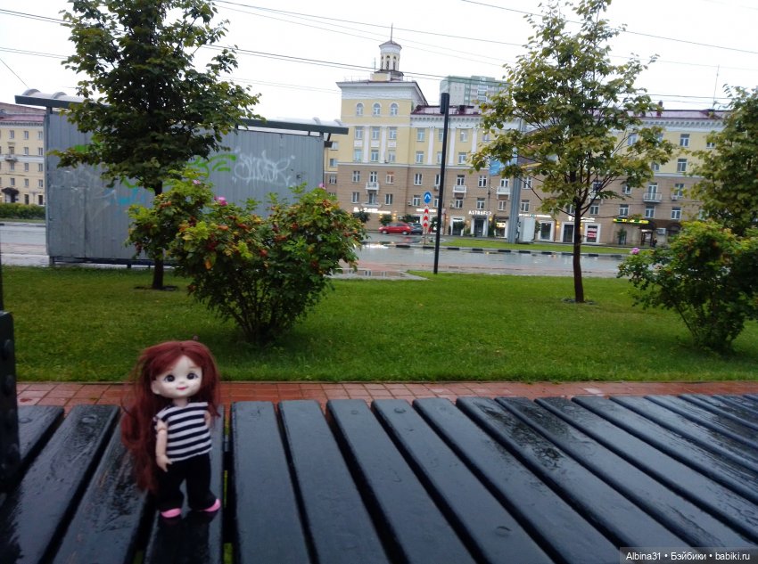 Прогулка по Новосибирску — Куклы Baboliy (Баболи