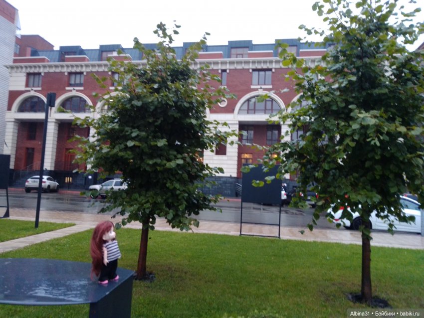 Прогулка по Новосибирску — Куклы Baboliy (Баболи