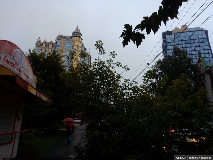 Прогулка по Новосибирску — Куклы Baboliy (Баболи (фото 7)