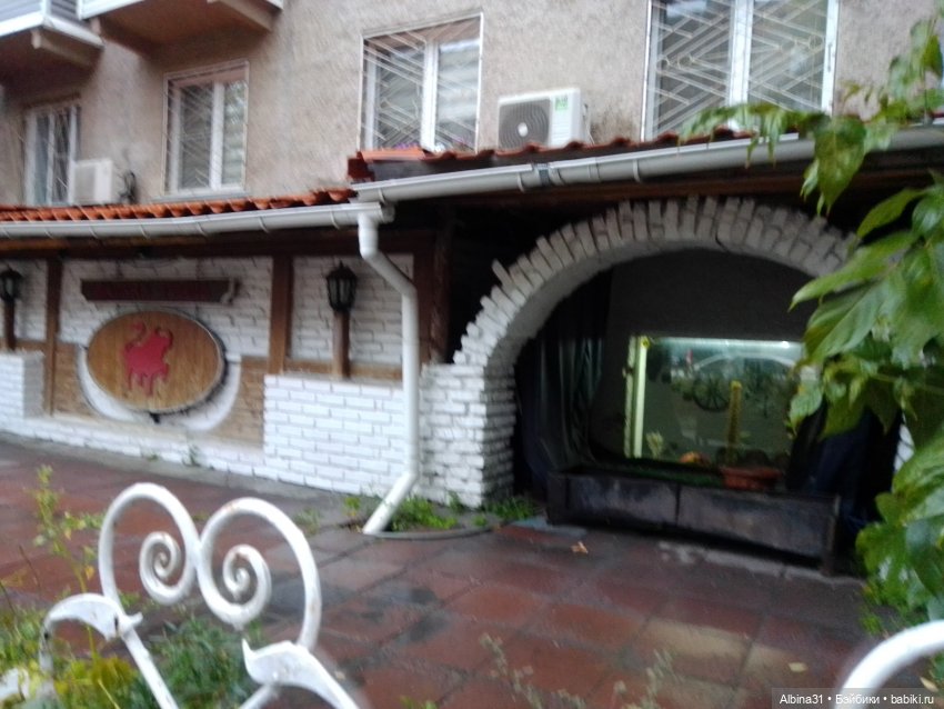 Прогулка по Новосибирску — Куклы Baboliy (Баболи