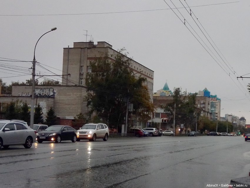 Прогулка по Новосибирску — Куклы Baboliy (Баболи