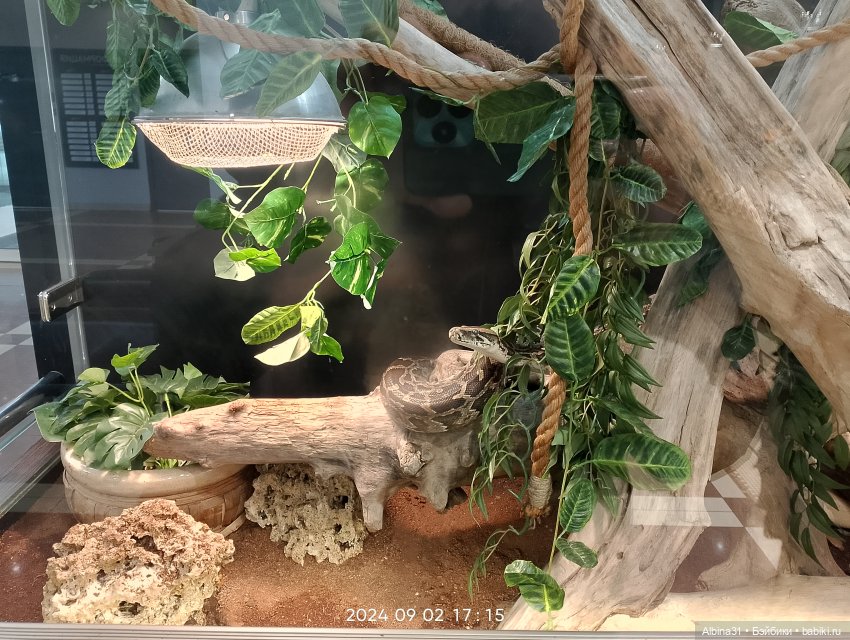 Новосибирск сентябрь 2024 (фото 6)