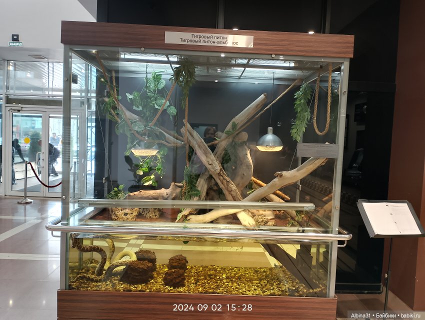 Новосибирск сентябрь 2024 (фото 8)