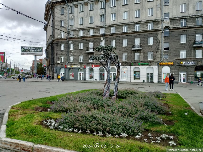 Новосибирск сентябрь 2024 (фото 3)