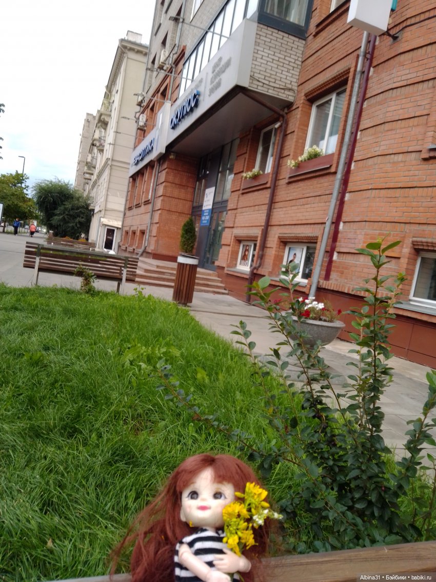 Городские зарисовки... Август, сентябрь 2024