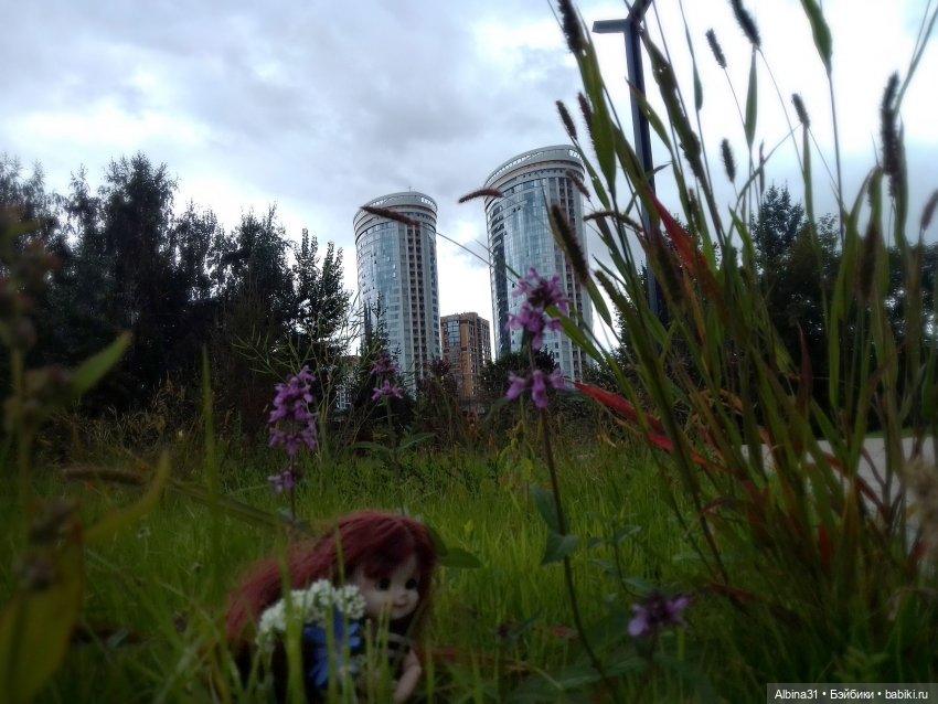 Дорога в Чёртово городище