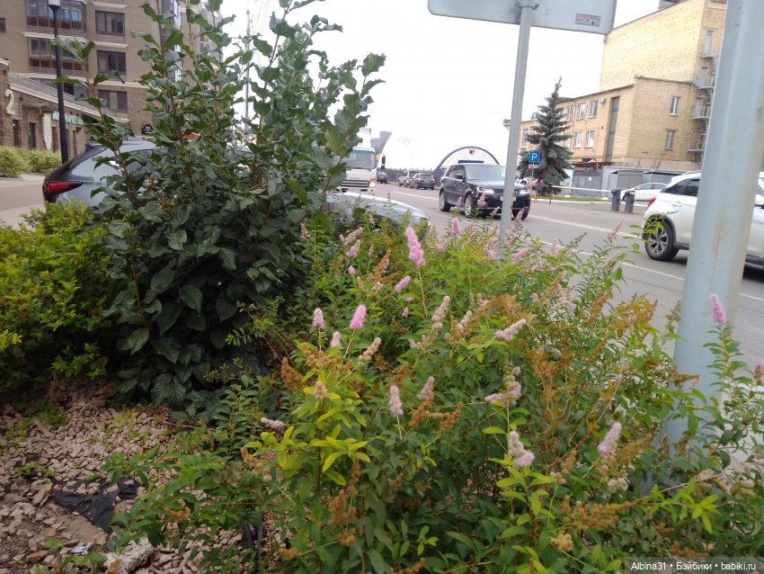 Городские зарисовки... Август, сентябрь 2024