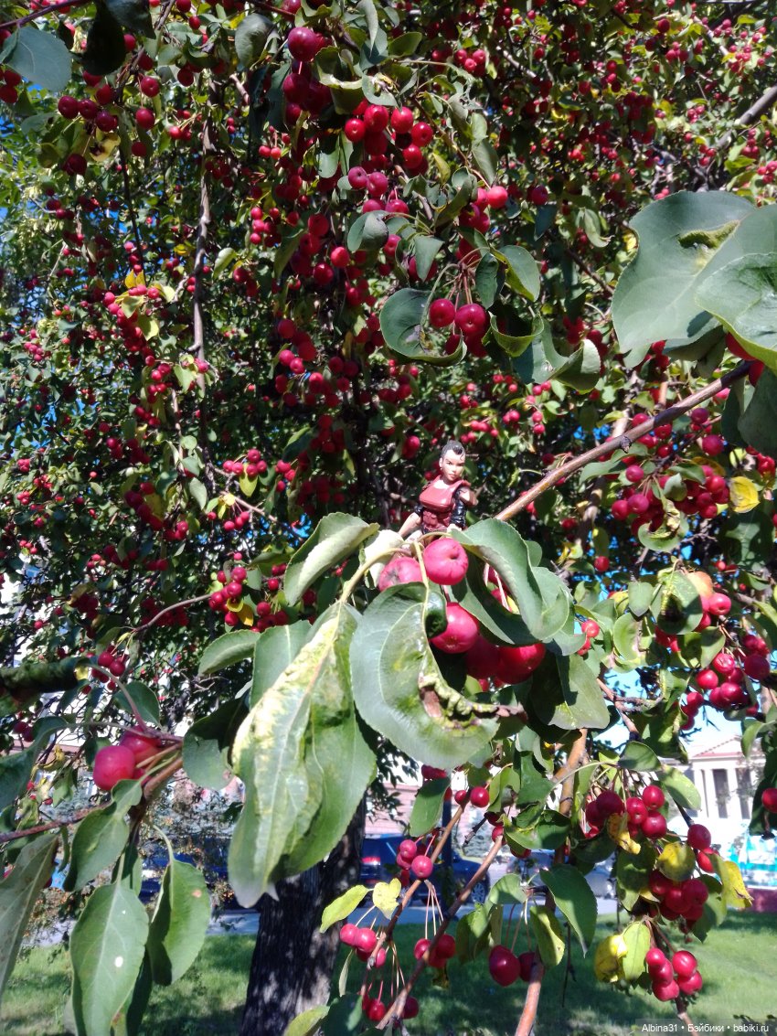 Городские зарисовки... Август, сентябрь 2024