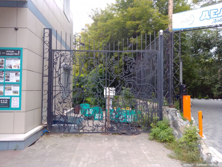 Зоопарк. Новосибирск. Сентябрь 2024 год