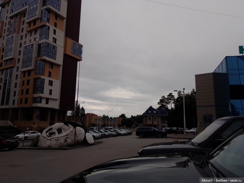 Зоопарк. Новосибирск. Сентябрь 2024 год (фото 5)