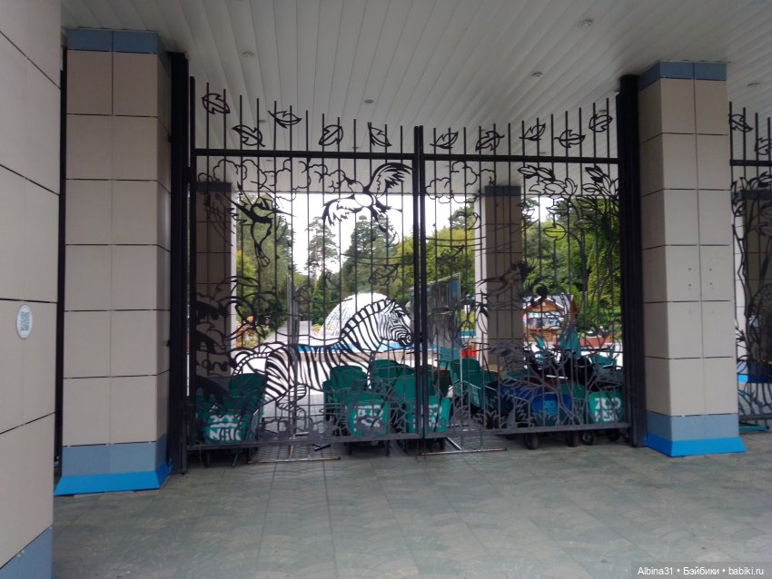 Зоопарк. Новосибирск. Сентябрь 2024 год (фото 8)