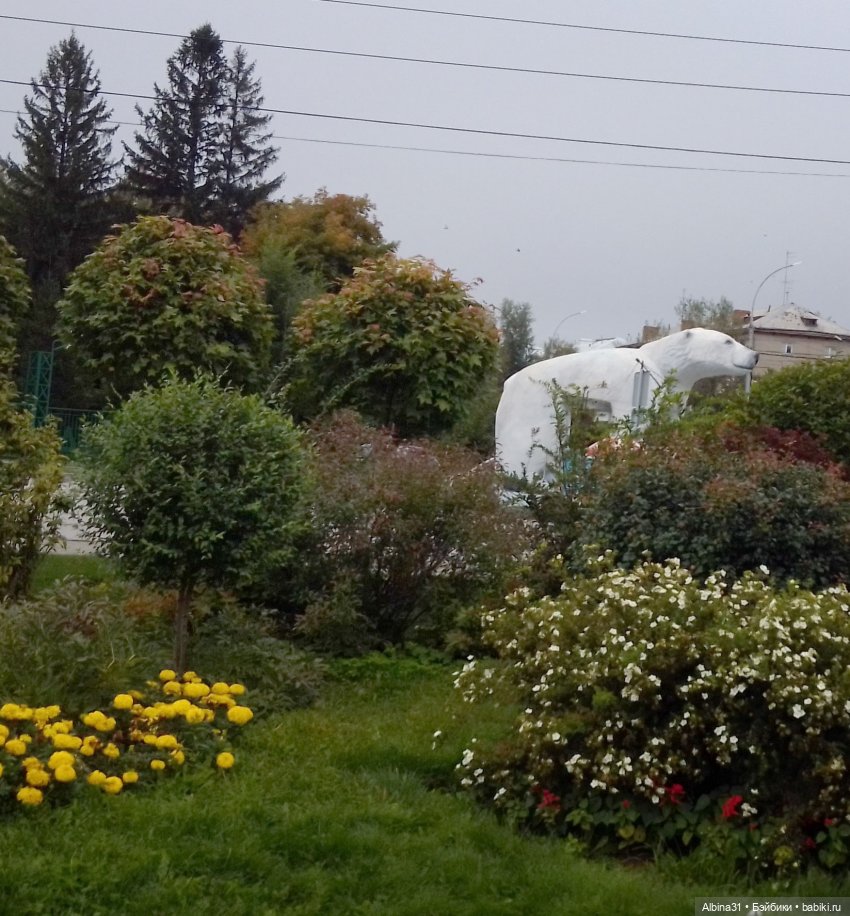 Зоопарк. Новосибирск. Сентябрь 2024 год (фото 2)