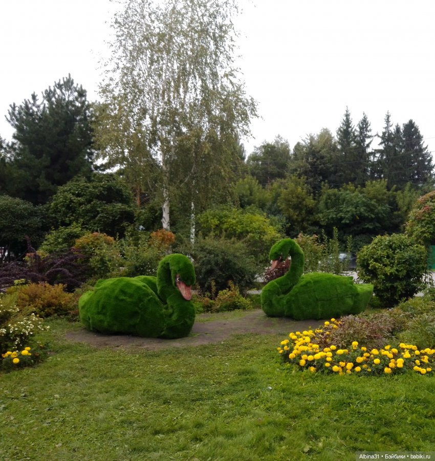 Зоопарк. Новосибирск. Сентябрь 2024 год