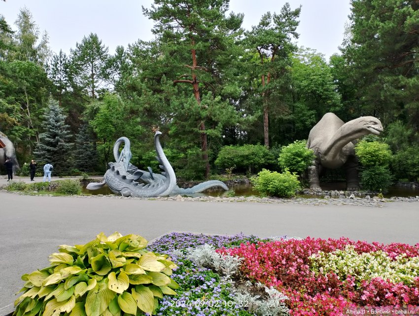 Зоопарк. Новосибирск. Сентябрь 2024 год