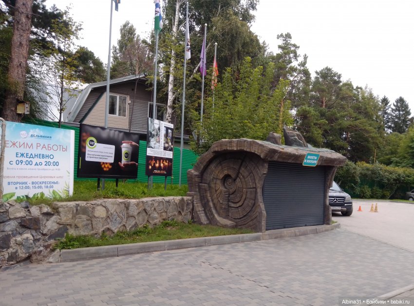 Зоопарк. Новосибирск. Сентябрь 2024 год (фото 7)