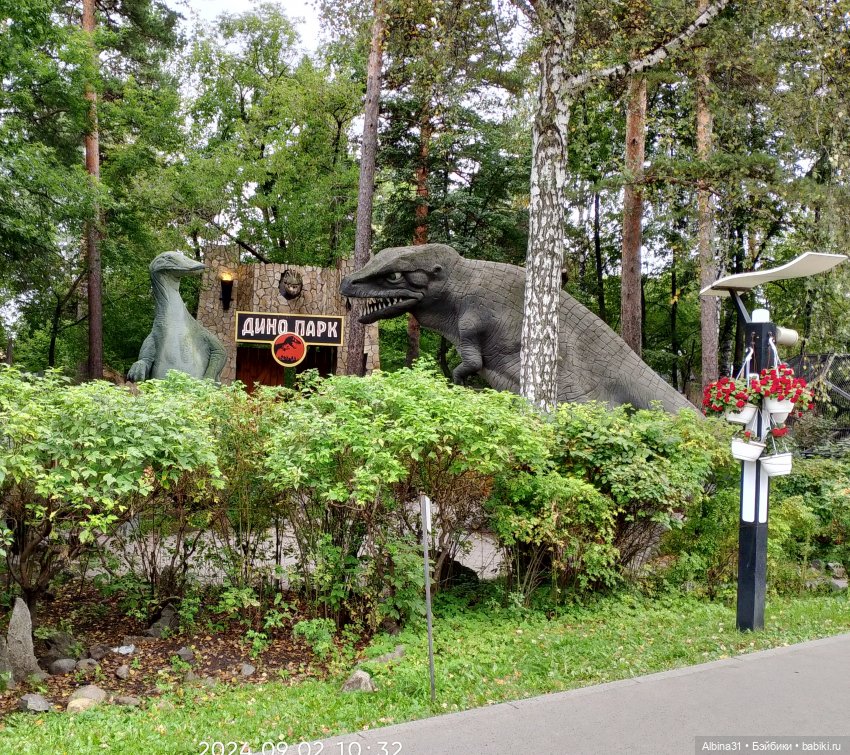 Зоопарк. Новосибирск. Сентябрь 2024 год