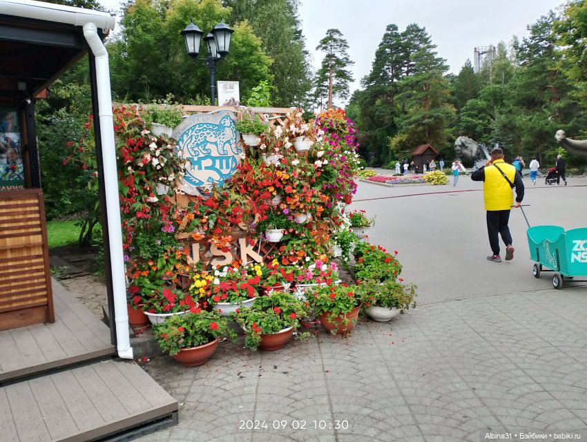 Зоопарк. Новосибирск. Сентябрь 2024 год