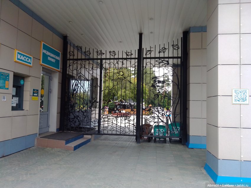 Зоопарк. Новосибирск. Сентябрь 2024 год (фото 6)