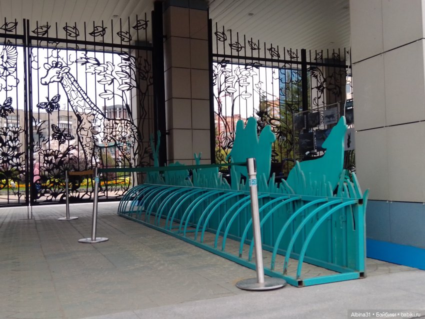 Зоопарк. Новосибирск. Сентябрь 2024 год