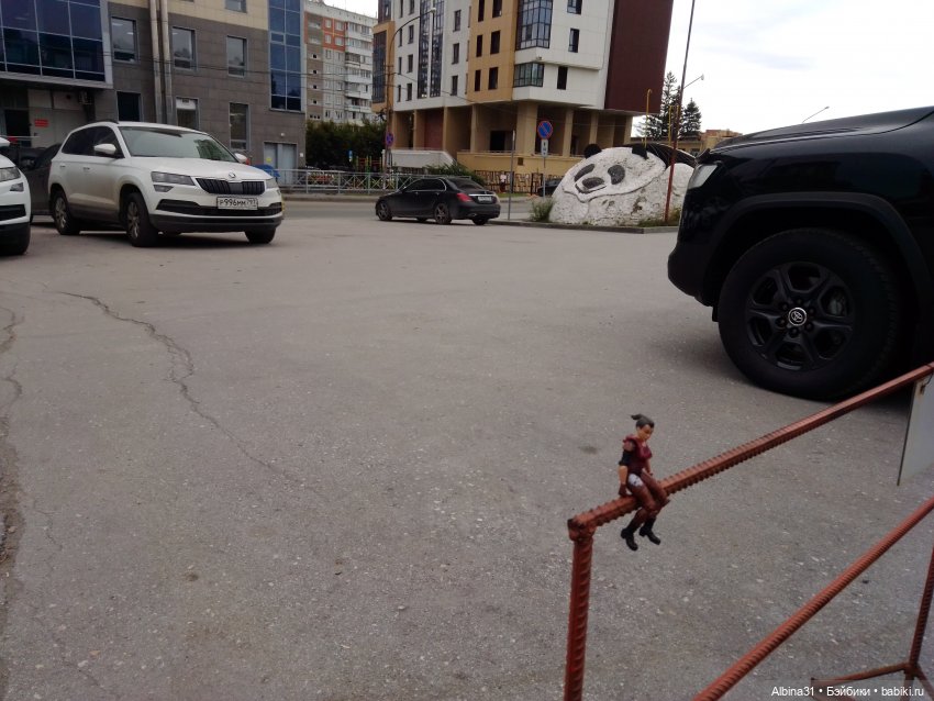 Зоопарк. Новосибирск. Сентябрь 2024 год (фото 4)