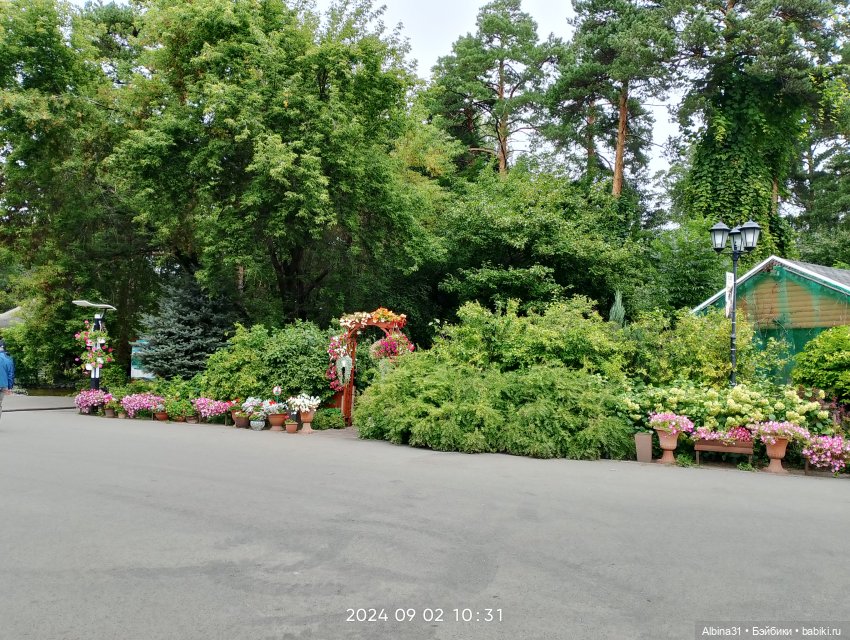 Зоопарк. Новосибирск. Сентябрь 2024 год