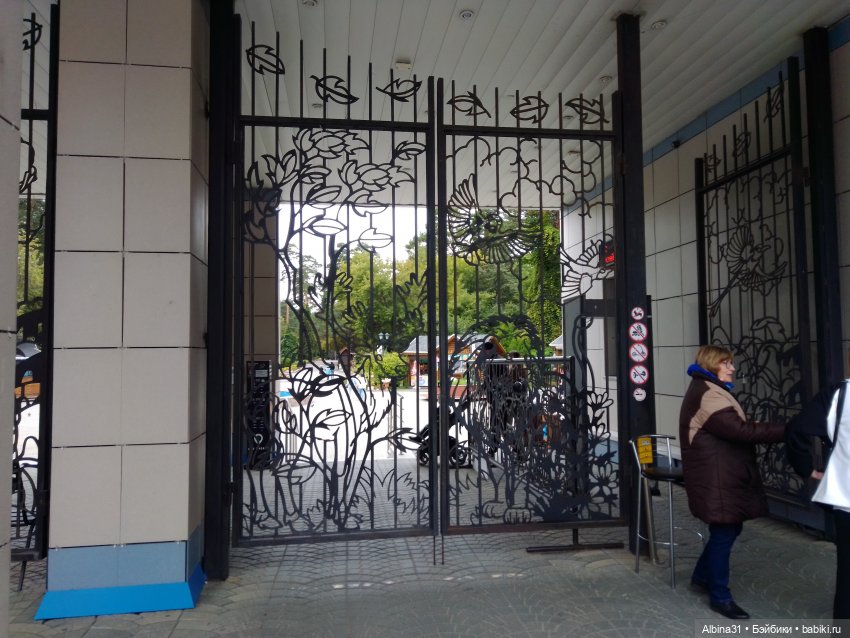 Зоопарк. Новосибирск. Сентябрь 2024 год (фото 10)