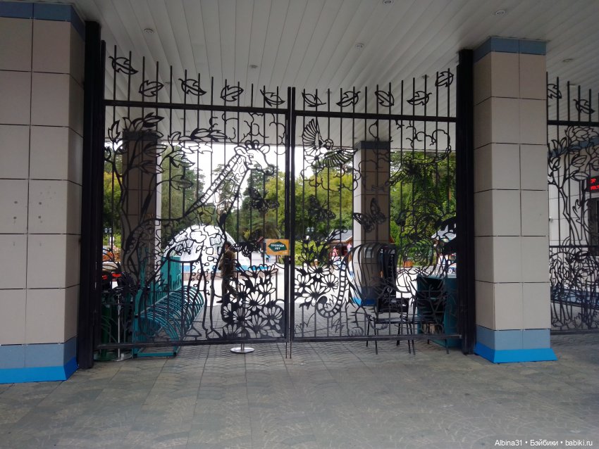 Зоопарк. Новосибирск. Сентябрь 2024 год (фото 9)