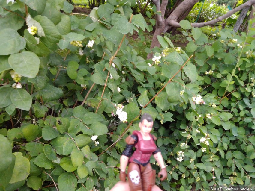 Зоопарк. Новосибирск. Сентябрь 2024 год (фото 3)