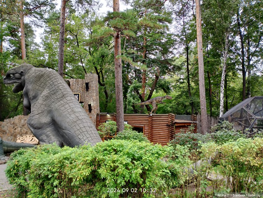 Зоопарк. Новосибирск. Сентябрь 2024 год