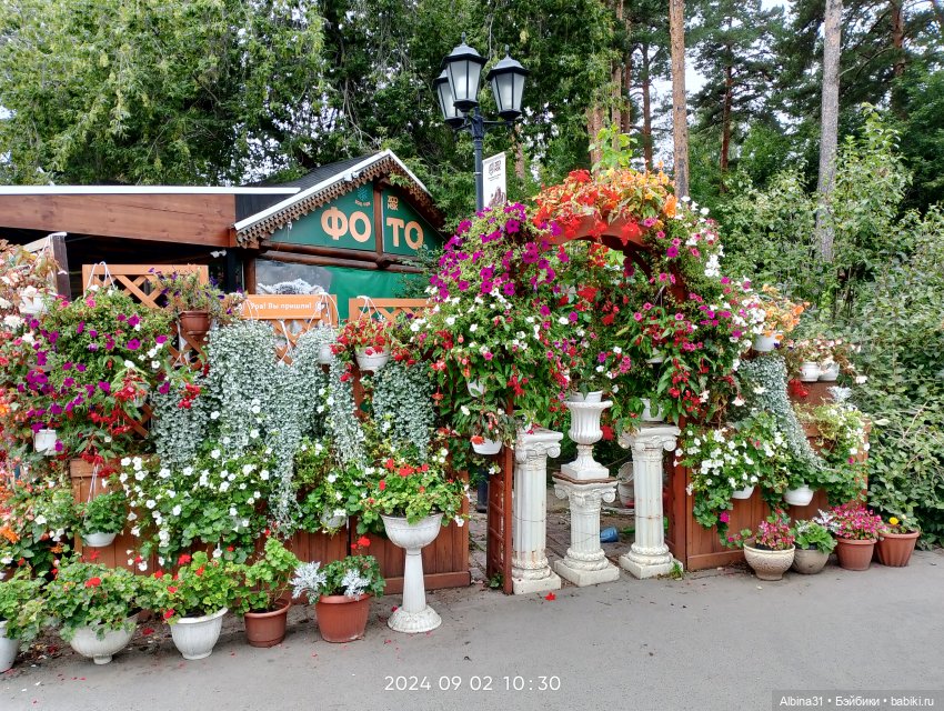 Зоопарк. Новосибирск. Сентябрь 2024 год