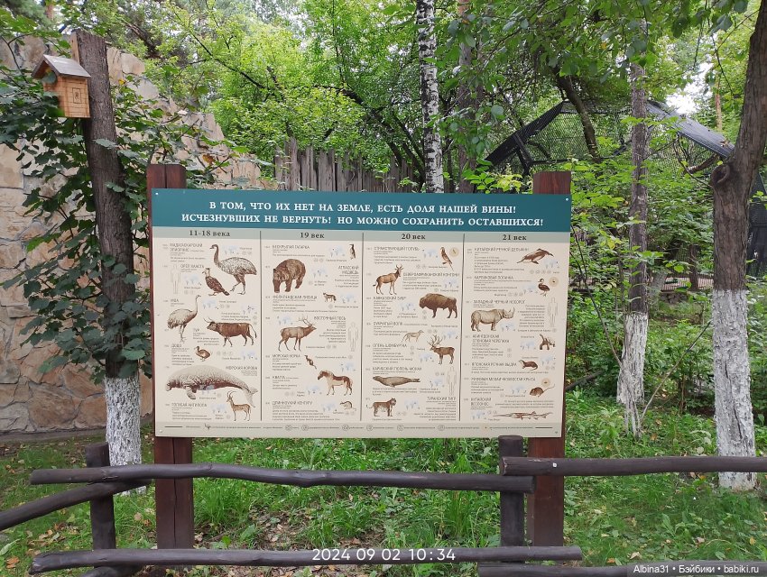 Зоопарк. Новосибирск. Сентябрь 2024 год