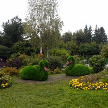 Зоопарк. Новосибирск. Сентябрь 2024 год