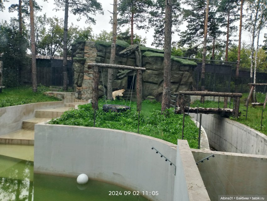Зоопарк. Новосибирск. Сентябрь 2024 год