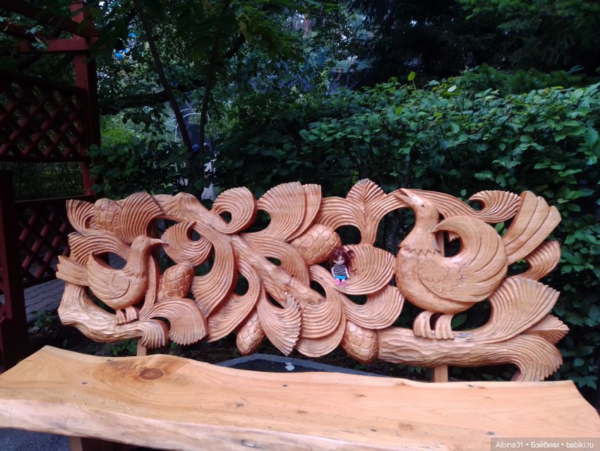 Зоопарк. Новосибирск. Сентябрь 2024 год