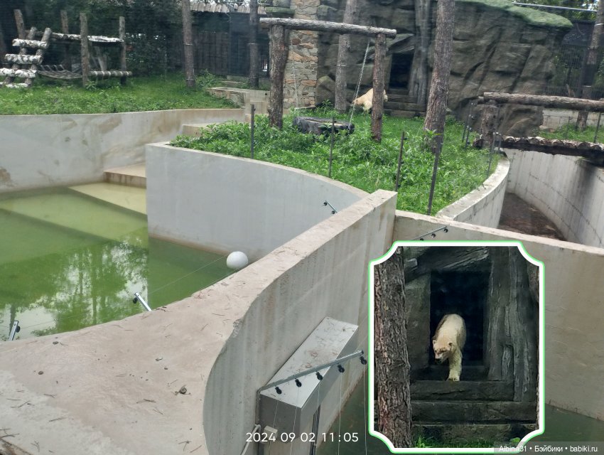 Зоопарк. Новосибирск. Сентябрь 2024 год