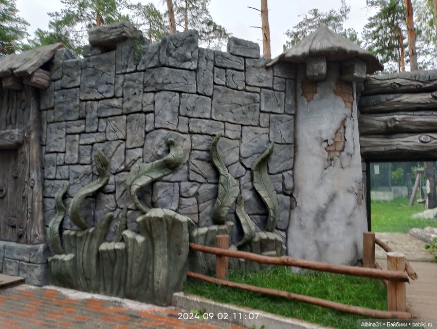 Зоопарк. Новосибирск. Сентябрь 2024 год (2) (фото 4)