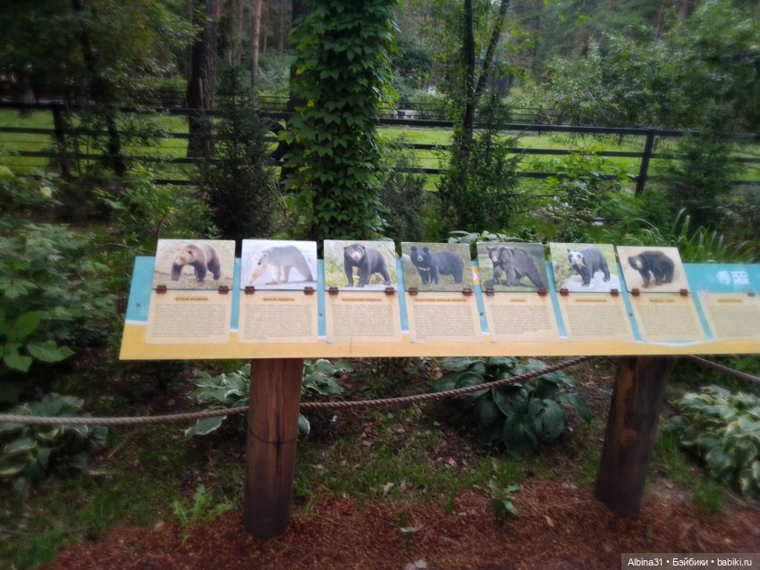 Зоопарк. Новосибирск. Сентябрь 2024 год (2)