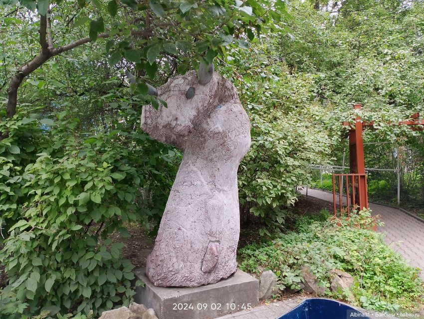 Зоопарк. Новосибирск. Сентябрь 2024 год