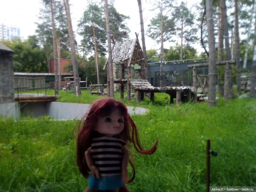 Зоопарк. Новосибирск. Сентябрь 2024 год (2)