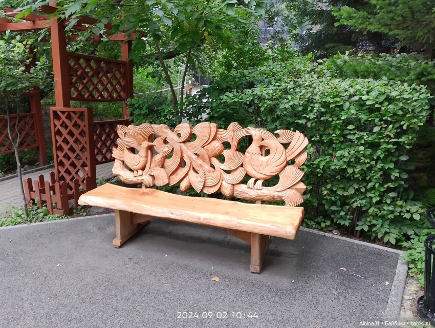 Зоопарк. Новосибирск. Сентябрь 2024 год